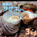 【ふるさと納税】海の街 舞鶴のサザエさん 3kg 活さざえ 3キロ【送料無料】