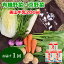 【ふるさと納税】<有機野菜 京野菜の京都やおよし>丹波産 野菜 & 美山牛乳200mlパック3本セット《オーガニック 有機JAS 栽培期間農薬不使用 減農薬 野菜 牛乳》※火曜日or金曜日発送※北海道・沖縄・離島への発送不可 10,000円