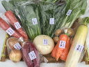 【ふるさと納税】【定期便】旬の京野菜 毎月お届けBコース(全...