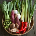【ふるさと納税】<坂ノ途中>旬のお野菜セット(S):1回お届...