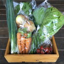 【ふるさと納税】【定期便】京都長尾ファームの旬の野菜セット/...