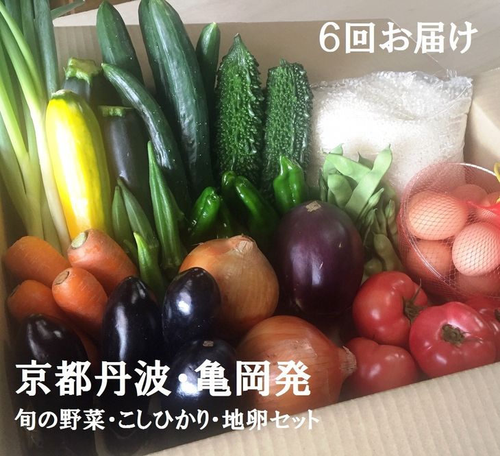 【ふるさと納税】【6回定期便】隔月6回お届け 京都丹波・亀岡発 旬の野菜・こしひかり・地卵 詰め合わせセット≪京野菜 新米 令和4年産≫先行受付 初回発送月選択※北海道、離島、沖縄地域への発送不可京都丹波産 特A