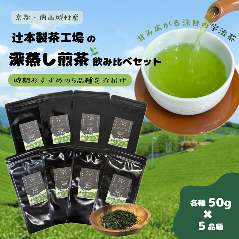 【ふるさと納税】【旨みと甘みが凝縮!話題の宇治茶】辻本製茶工場の深蒸し煎茶飲み比べセット(50g×5品種) 南山城村 京都 宇治 煎茶 茶　お届け：申込から1ヶ月程度で配送