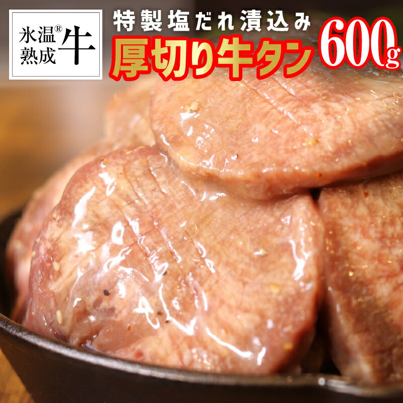 【ふるさと納税】牛タン 厚切り 600g 特製塩だれ漬込み 氷温(R)熟成牛 熟成肉 柔らかい 牛肉 焼き肉 スライス ビール に合う おつまみ ごちそう グルメ お祝い 焼くだけ 簡単 バーベキュー