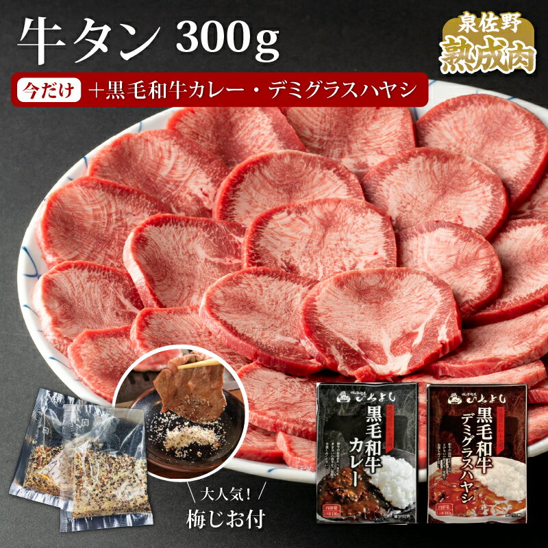 【ふるさと納税】やわらか熟成牛タンスライス300g（梅塩付） 熟成和牛カレー・デミグラスハヤシ セット