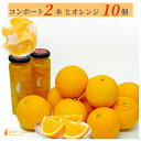 【ふるさと納税】オレンジ 10個 と オレンジ コンポート 2個 食べ比べ セット
