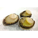 【ふるさと納税】B055*蒸しアワビ(黒)3個〜5個(解凍)...