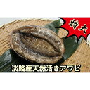【ふるさと納税】B127*特大!淡路産天然活きアワビ(赤)1...