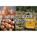 【ふるさと納税】H033*淡路島産 中晩生たまねぎ10kg(...