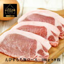 【ふるさと納税】BY47*えびすもち豚ロースかつ用900g(300g×3パック)冷凍