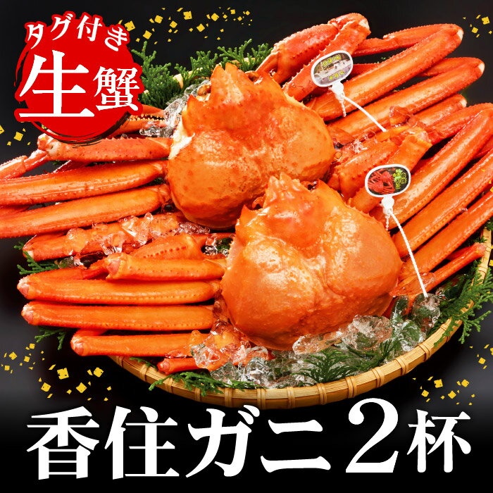 【ふるさと納税】タグ付き香住ガニ（生）姿1.6kg（約800g×2枚）紅ズワイ 蟹 希少な特大サイズを厳選！ 期間限定 / かに カニ