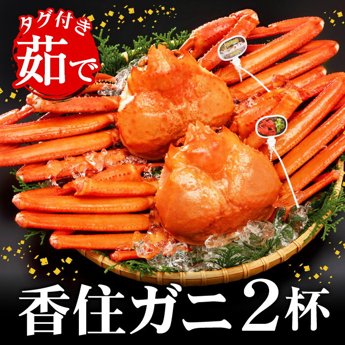 【ふるさと納税】希少な特大サイズを厳選！タグ付き香住ガニ（茹で）姿1.6kg（約800g×2枚）ボイル済み 紅ズワイ 蟹 期間限定 / 国産 紅ズワイガニ 蟹 カニ鍋 かに鍋 蟹鍋 カニすき かにすき 鍋 焼きガニ 脚 ボイル 香住蟹