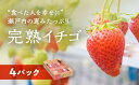 【ふるさと納税】赤穂市産イチゴ 200g×4パック 【果物類...