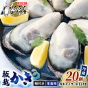 【ふるさと納税】牡蠣 生食 坂越かき 殻付き28個 牡蠣ナイ