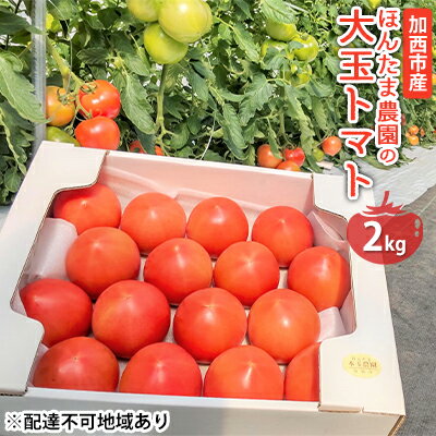 加西市産 ほんたま農園の大玉トマト 2kg　【野菜・トマト・とまと・2kg】　お届け：2023年3月上旬〜2023年6月末