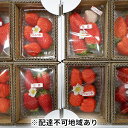 【ふるさと納税】藤井悦雄さん生産のいちご8パック 【ジャム・...