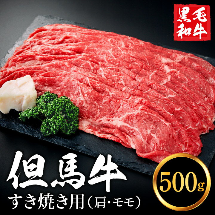 【ふるさと納税】010AA04N.いちかわ精肉店 すき焼き用（肩・モモ）500g