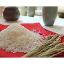 【ふるさと納税】奈良県大和高田市産ヒノヒカリ5kg×2 合計...