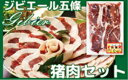 【ふるさと納税】五條産ジビエ 〜イノシシ肉セット400g〜 ...