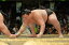 【ふるさと納税】大相撲五條場所 溜り席Aチケット