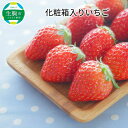 【ふるさと納税】化粧箱入りいちご