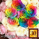 【ふるさと納税】Heguri Rose バラの花束 30本（レインボー7本+白+淡いピンク）ローズ フラワー 薔薇 新鮮 高品質 綺麗 平群のバラ 花束 平群ブランド 誕生日 記念日 お祝い かわいい 珍しい 目立つ 個性的