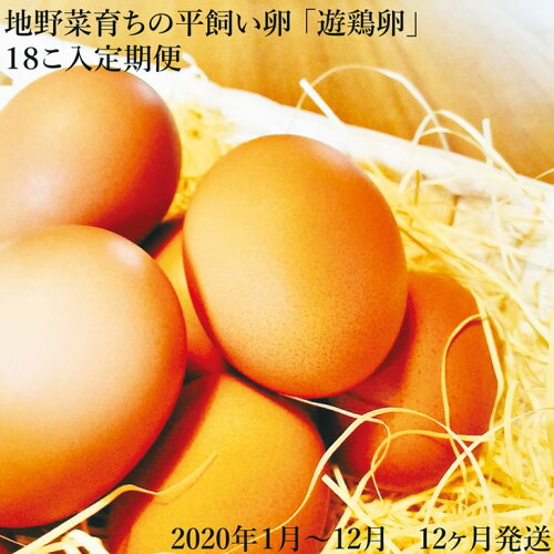 https://thumbnail.image.rakuten.co.jp/@0_mall/f293857-soni/cabinet/i/7916-10742-01b.jpg?_ex=500x500