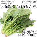 【ふるさと納税】【大向農園】【定期便】「大向民雄のほうれん草」180g10袋セット3ヶ月定期便