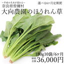 【ふるさと納税】【大向農園】【定期便】「大向民雄のほうれん草」180g10袋セット6ヶ月定期便※2019年1月〜6月に発送