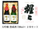 【ふるさと納税】大吟醸 熟成酒 720ml 2点