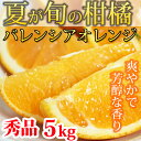 【ふるさと納税】秀品 希少な国産バレンシアオレンジ 5kg