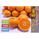 【ふるさと納税】【大玉】和歌山県産 有田みかん 10kgひとつひとつ手選別で厳選! 生産者から直送!