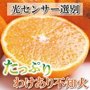 【ふるさと納税】<4月より発送>家庭用 不知火5kg+150g(傷み補償分)【デコポンと同品種・人気の春みかん】【光センサー食頃出荷】【わけあり・訳あり】