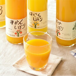 【ふるさと納税】5種<strong>みかんジュース</strong>大瓶（750ml）9本セット(A79-2)