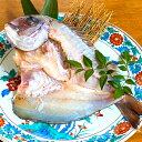 【ふるさと納税】天然鯛活干物(塩干し)