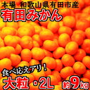 【ふるさと納税】大粒・2L 有田みかん「...