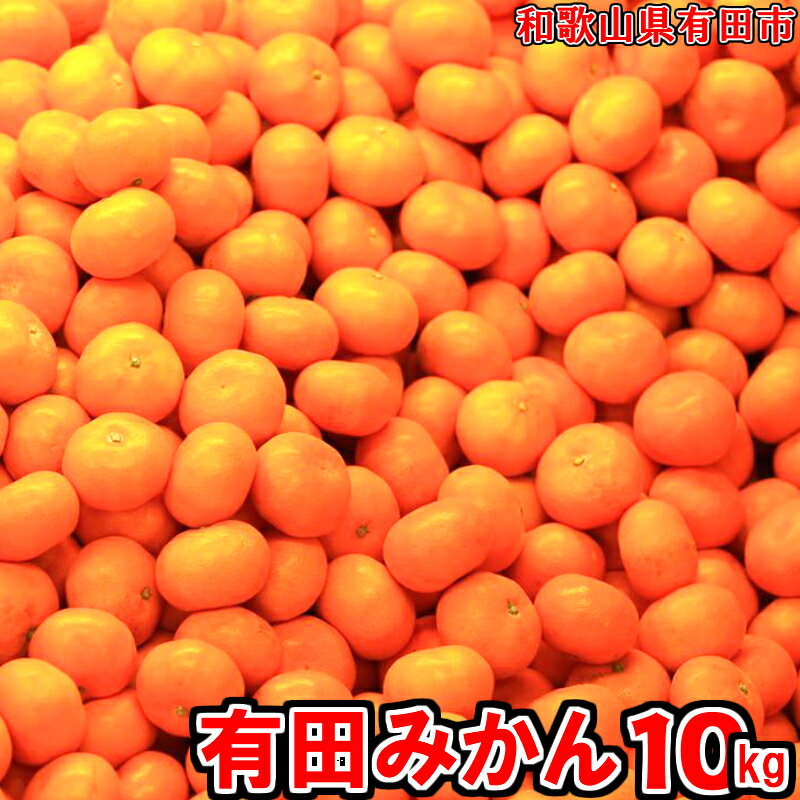 【ふるさと納税】有田みかん「未来への虹」10kg 送料無料 産地直送 フルーツ 果物 てんこ盛り てんこもり 本場 和歌山 有田 有田市 ありだ みかん 幸せの連鎖 甘い 濃厚 コク ジューシー S M L ふるさと 応援 寄附