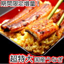 【ふるさと納税】期間限定!!!超特大国産うなぎ2本セット(1...