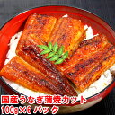 【ふるさと納税】国産うなぎ蒲焼きカット100g×6パックセッ...
