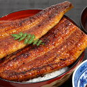 【ふるさと納税】特大サイズ国産うなぎ蒲焼き2本セット