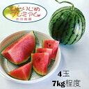 【ふるさと納税】齋藤農園ブランド「ひとりじめプレミアムV」(...