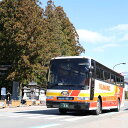 【ふるさと納税】定期観光バス乗車券 熊野三山めぐりコース(お弁当付) 大人1名様