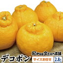【ふるさと納税】デコ不知火(デコポン) 約2.8kg 秀品 サイズおまかせ 紀伊国屋文左衛門本舗 ※2023年2月上旬~4月上旬頃に順次発送予定(お届け日指定不可)