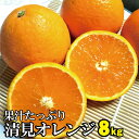 【ふるさと納税】果汁たっぷり!清見オレンジ 約8kg 有機質肥料100% ※2022年3月上旬より順次発送予定(お届け日指定不可)