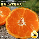 【ふるさと納税】紀州ピュアみかん100 10kg 黒潮フルーツファーム《11月下旬-12月下旬頃より順次出荷》和歌山県 紀の川市 みかん フルーツ 果物