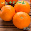 【ふるさと納税】和歌山有田産 セミノールオレンジ約5kg(サイズおまかせ 秀品) |柑橘 ジューシー 産地直送※2023年4月中旬~下旬頃に順次発送予定