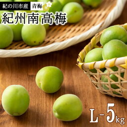 【ふるさと納税】紀州南高梅(青梅) 5kg＜Lサイズ＞【2024年5月下旬以降発送】【MG9】 | 和歌山県 和歌山 九度山町 楽天ふるさと 納税 返礼品 支援 梅 うめ ウメ 名産品 特産品 お取り寄せ ご当地 紀州 南高梅 青うめ あおうめ <strong>なんこううめ</strong> 生梅 取り寄せ 名産 特産 支援品