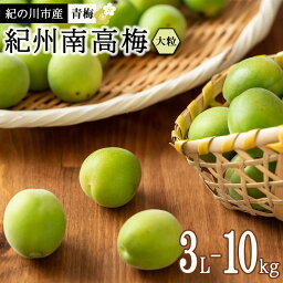 【ふるさと納税】紀州南高梅(青梅) 10kg＜大粒／3Lサイズ以上＞【2024年5月下旬以降発送】【MG15】 | 和歌山県 和歌山 九度山町 楽天ふるさと 納税 返礼品 支援品 名産品 特産品 お取り寄せ ご当地 梅 うめ ウメ 紀州 南高梅 <strong>なんこううめ</strong> 青うめ あおうめ 生梅 取り寄せ