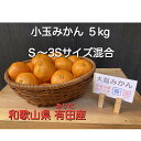 【ふるさと納税】和歌山県 有田産 小玉 みかん S~3Sサイズ混合 5kg【ミカン 蜜柑 柑橘 温州みかん 有田みかん 和歌山】
