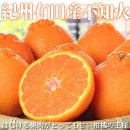 【<strong>ふるさと納税</strong>】【先行予約】紀州有田産 不知火 (しらぬひ) 5kg【でこぽん <strong>デコポン</strong> しらぬい 不知火 柑橘】